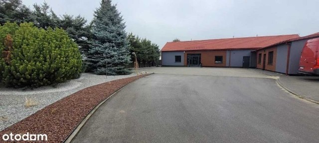 Działka 1ha z budynkiem handlowym 230m2, obok wjazdu na drogę ekspresową s17
