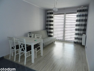 do wynajęcia 2-pokojowe, 40 m2, ul. Hawelańska, Winogrady