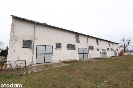 Okazja! 2 HALE PRODUKCYJNE NA DZIAŁCE 6144 m² | Dębina k. Bucza