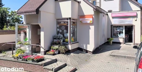 Lokal wynajem: ŚCISŁE CENTRUM, możliwość 2 lokali, BEZ POŚREDNIKÓW