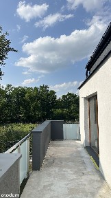Las na wyciągnięcie ręki