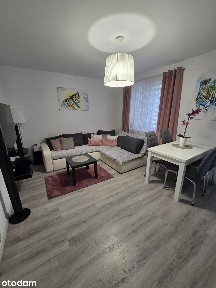 2 pokoje | Umeblowane | Miejsce postojowe | Piwnica | Bezpośrednio