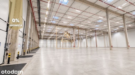 Magazyn Lędziny 10.000 m2 Górny Śląsk