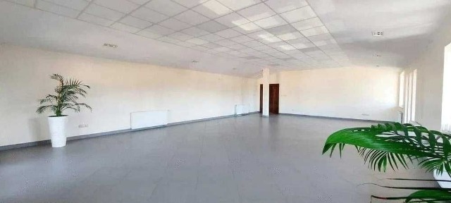 Lokal do wynajęcia