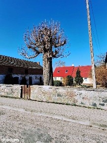 Rożnowo Łobeskie, Łobez, łobeski, zachodniopomorskie