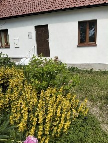 Siedlisko w Zawidach na Warmii po remocie. Budynki i garaże bardzo dobry stan.