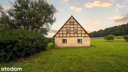 Siedlisko z pruskim murem | 0,63 ha Wysokie
