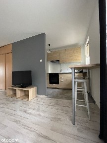 ul. Dolna Wilda, Łęgi Dębińskie, Wilda, Poznań, wielkopolskie