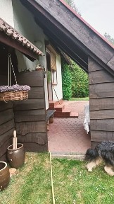 Dom letniskowy z lasem Bory Tucholskie