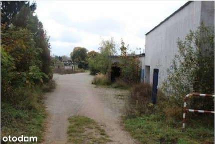 Osiek nad Notecią, Wyrzysk, pilski, wielkopolskie