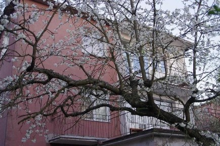 Mieszkanie dla firmy budowlanej