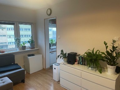 Wynajem mieszkania Teofilów TANIO