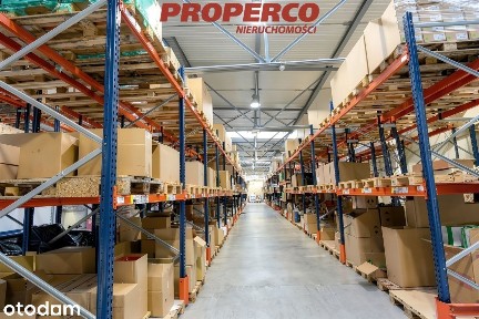 Hala magazynowo-produkcyjna 2555 m2 i biuro 600 m2