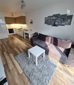 Mieszkanie dwupokojowe z garażem nowoczesne Wrocław ul. Kamienna osiedle DEVELIA bezpośrednio