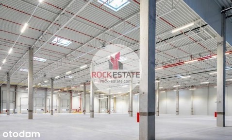 Magazyn 5400 m2 Dobrzykowice - 0% prowizji
