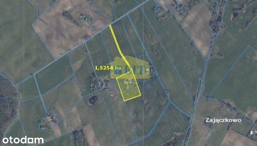 Siedlisko 1,5 ha, Zajączkowo k. Połczyna-Zdroju