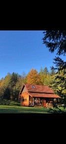 Dwa domy ! duży dom z bala i domek letniskowy okazja działka 42 ary !