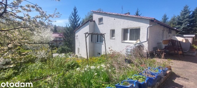 ul. Kraszewskiego, Głuchołazy, nyski, opolskie