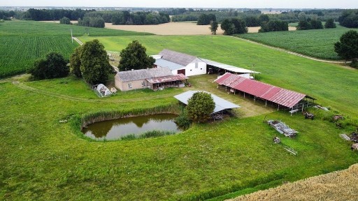 Siedlisko 8,85 ha z pełną zabudową gospodarczą | Budynki 550 m² + wiaty 700 m² | 2 suszarnie | Gozdy, gmina Mochowo
