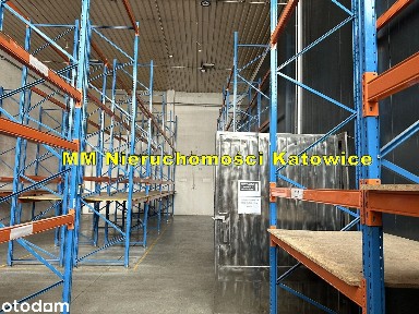 Magazyny chłodnia mroźnia biura do wynajęcia Radzionków przy A1