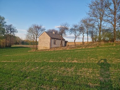 Sprzedam dom siedlisko w cichej okolicy do remontu