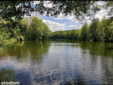 Bezczynszowa kawalerka nad jeziorem w goszczanowie