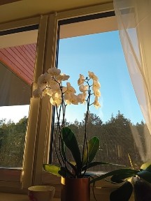 Sprzedam mieszkanie osiedle Jar w Toruniu.