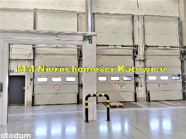 Hala 740 m2 Chorzów przy A4 doki i brama 0 biura socjal - 0% PROWIZJI!