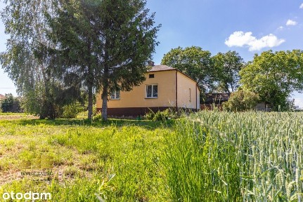 Siedlisko, Świdnik