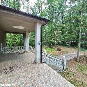 Koralowych Dębów, Zalesie Górne, Piaseczno, piaseczyński, mazowieckie