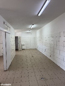 Hala na wynajem z mediami i zabezpieczeniami