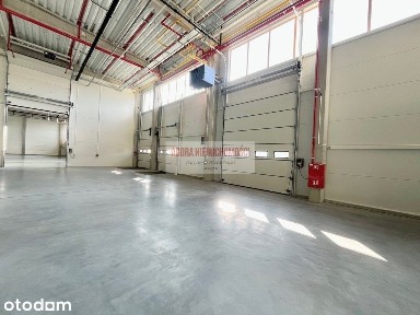 Magazyn 1910 m2 Balice 2 doki + brama 