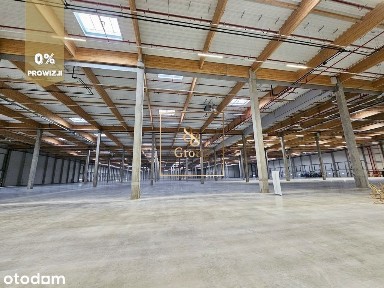 Hala 5 000 m2, wysokie składowanie. Stary Konik
