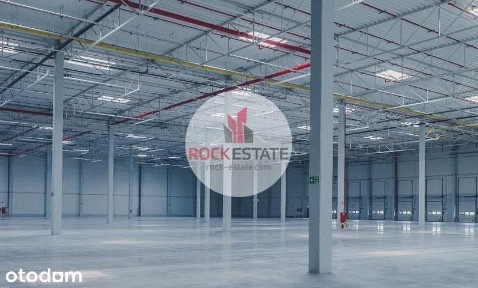 Magazyn 4000 m2 Gdańsk - 0% prowizji
