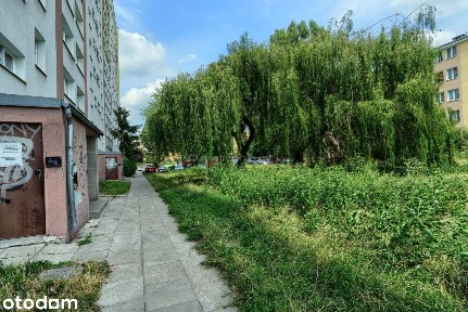 Dwupokojowe mieszkanie w bloku z windą!