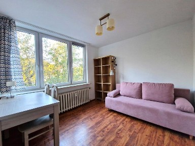 Mieszkanie 2-pokojowe z balkonem | Centrum | Piekarnik | od września