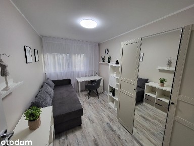 Fałata, UMK, Wysoki standart