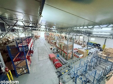 Hala magazynowa 2000 m² Stryków/Głowno | A1 /A2 | 400 kW | od 100 m²