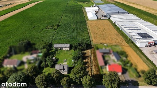 Dom z dużą działką 1,18 ha | Czernice | Potencjał
