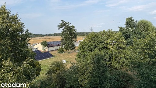 ul. Akacjowa, Skarbimierz-Osiedle, Skarbimierz, brzeski, opolskie