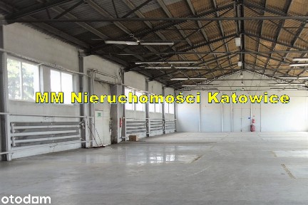 Hala do wynajęcia Katowice blisko centrum ogrzewanie biura socjal.