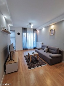 2pok. + balkon | 40m | bezpośrednio | English