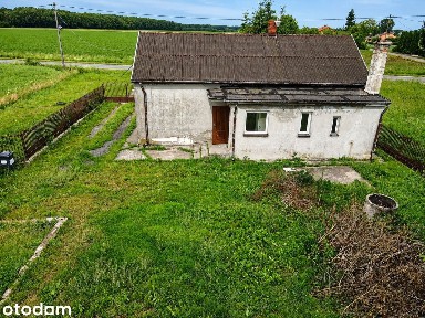 NOWA CENA Gołębiew Nowy /dom 60 mkw / działka 1800 mkw