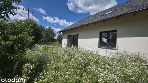 Suchy Bór, Chrząstowice, opolski, opolskie