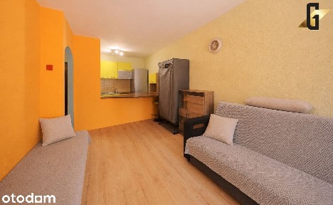 Inwestycyjnie - Wynajęte Mieszkanie wysoki parter 2 pokoje/Balkon