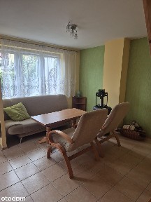 Wyjątkowa działka ROD 300 m² | Kobylepole | Murowany domek 25 m²