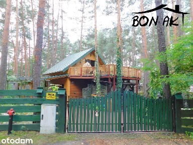 Chojno Młyn, Chojno-Młyn, Wronki, szamotulski, wielkopolskie