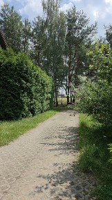 Dom dla rodziny w Kicinie - cisza, natura, blisko Poznania - od 1 września