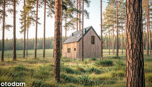 Klimatyczny dom w otoczeniu lasu | Osowiec