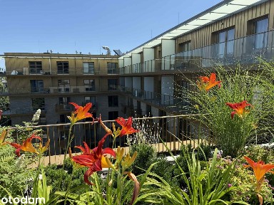 KLIMATYZACJA Balkon Winda WYSOKI STANDARD Ochrona24 CENTRUM